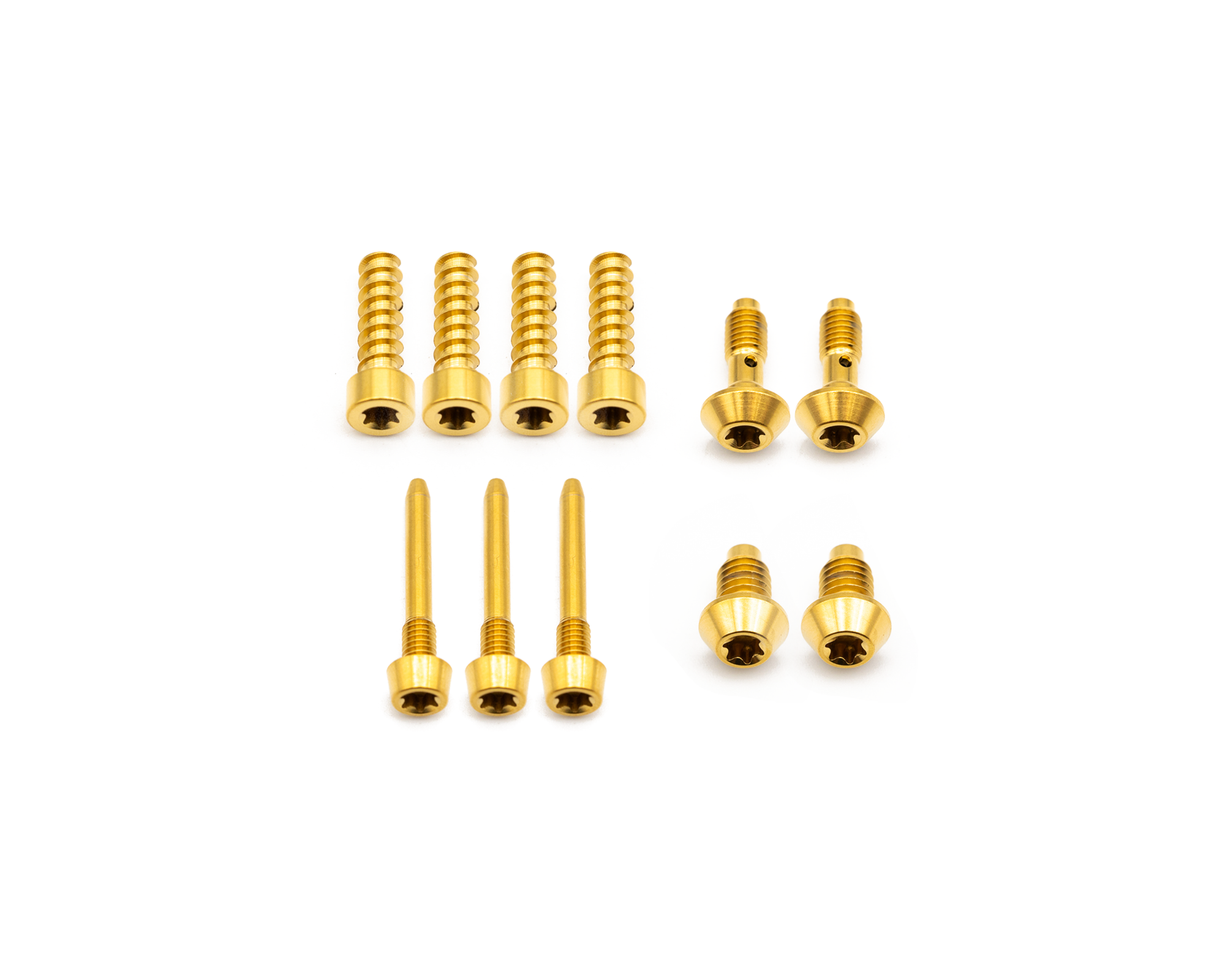 Titanium Magura Bolt Kit - Better Bolts